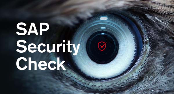 Teaserbild: Consulting SAP Security